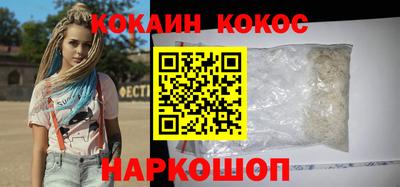 гашик Кингисепп