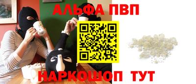 гашик Кингисепп
