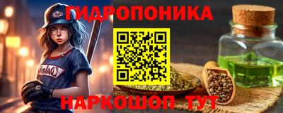 гашик Кингисепп
