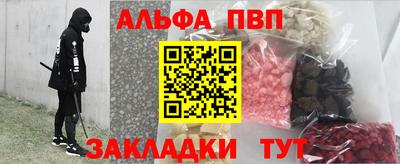 гашик Кингисепп