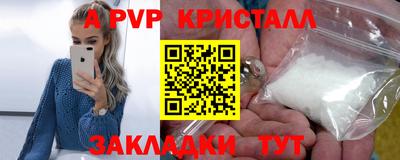 гашик Кингисепп