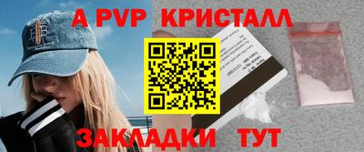 гашик Кингисепп