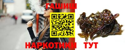 гашик Кингисепп