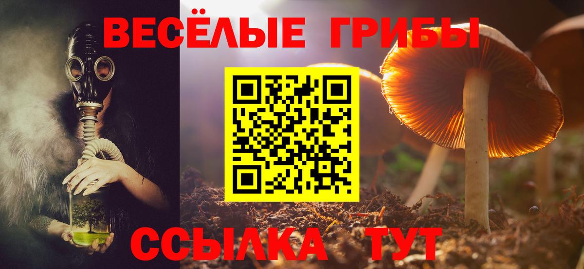 Кстово  Псилоцибиновые грибы GOLDEN TEACHER  цена наркотик  Вход с VPN 
