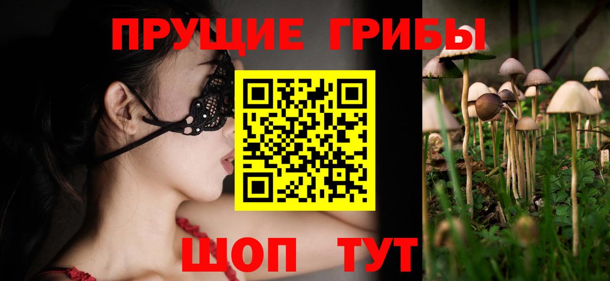 Псилоцибиновые грибы MAGIC MUSHROOMS Кстово
